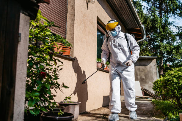Best Affordable Pest Control Services  in Stewartville, MN