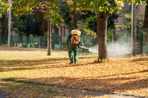 Pest Control for Restaurants in Stewartville, MN